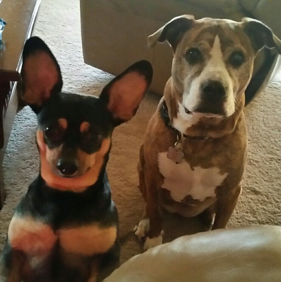 Meet your Posher, Nadine! - Picture 5 of 8